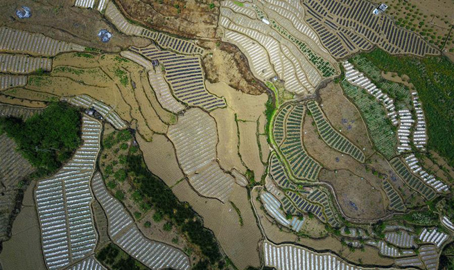 Aerial photos of farmland in SW China's township
