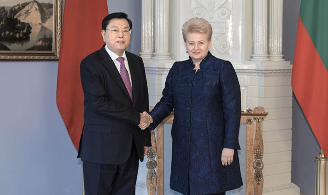 China, Lithuania agree to build stronger ties