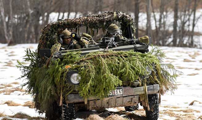 Estonian soldiers participate in military exercise in Sonda