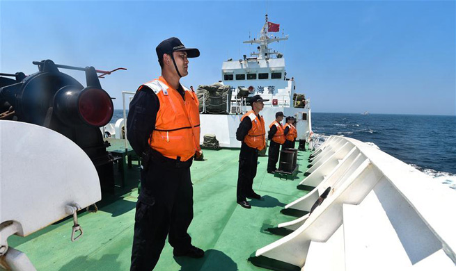 China, Vietnam conclude joint fishery inspection in Beibu Gulf