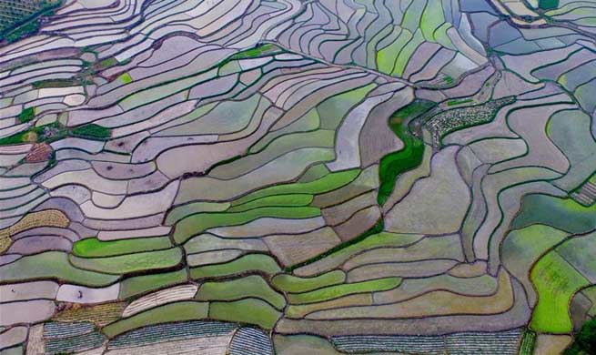 Rural scenery of terraced fields across China