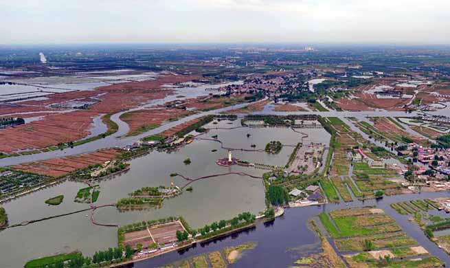 Hebei calls for int'l bids to plan and design Xiongan New Area