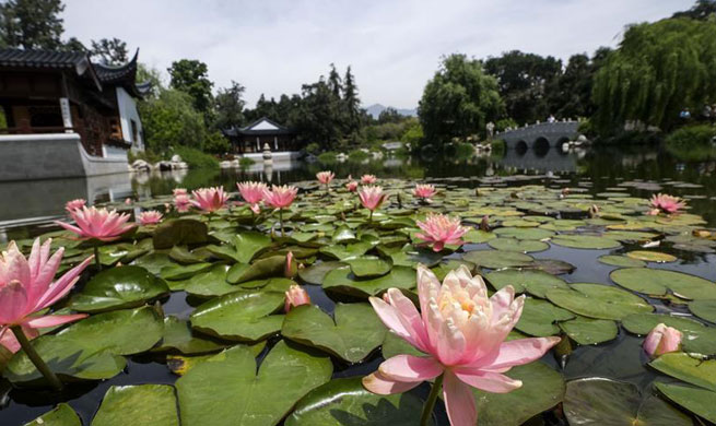 Scenery of Chinese garden Liu Fang Yuan in Los Angeles