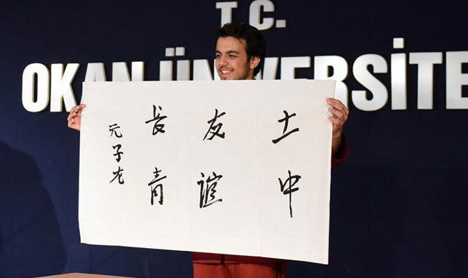 Chinese proficiency competition for college students in Turkey held in Istanbul