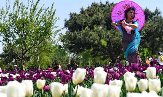 Tourists view tulip flowers in northeast China