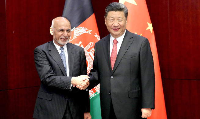 China, Afghanistan pledge closer cooperation on B&R construction