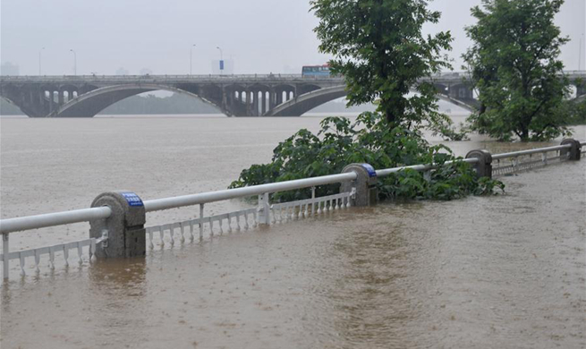 Water level of major river exceeds alarm level in China's Changsha