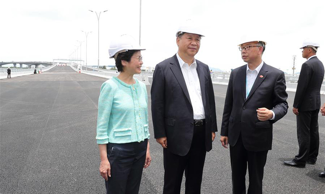 Xi inspects key infrastructure projects in HK