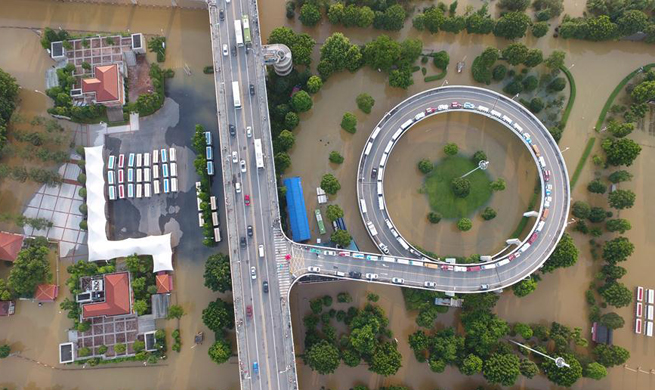 Major Yangtze River tributary breaks record flood level