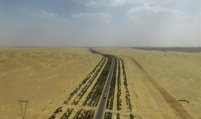 Shelter forest protects desert highway from intrusion of sand in Xinjiang