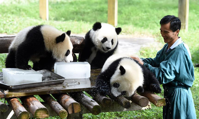 China's zoos take measures to cool down animals in hot weather