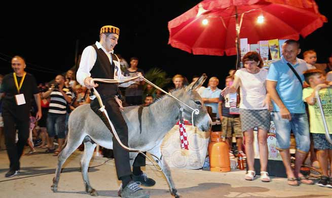 Traditional donkey race held in Croatia