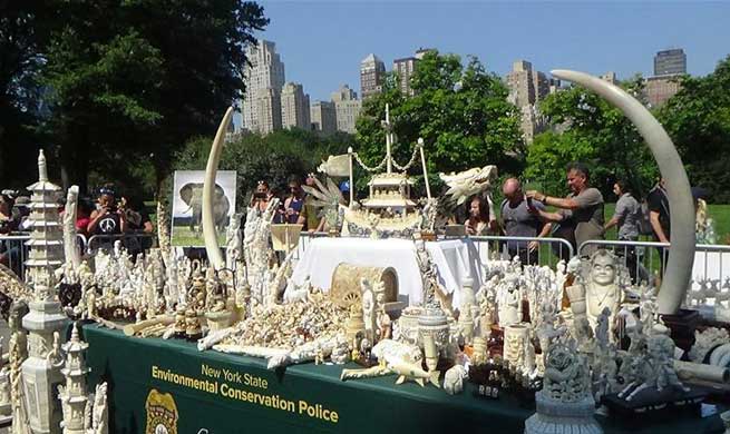 New York crushes nearly 2 tons of ivory artifacts to deter illegal trade