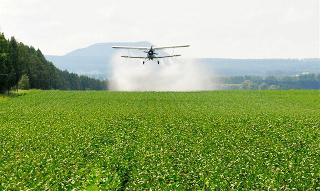 Plane sprays nutrient solution over field in NE China