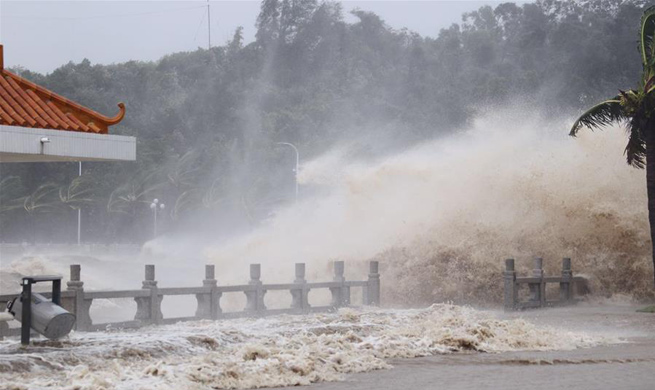 Typhoon Hato makes landfall in south China