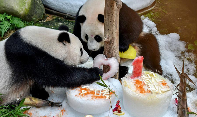 Malaysia celebrates birthday of giant pandas