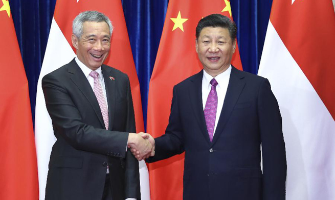 Xi meets Singaporean PM on advancing ties