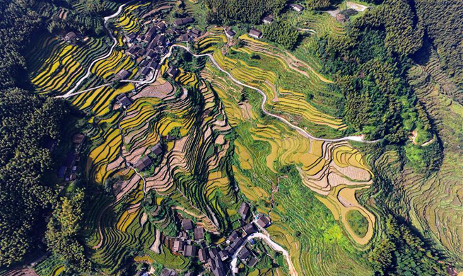 Scenery of terraced fields in Houyuan Village, China's Fujian