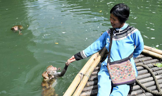 Pic story: "Monkey mother" Pan Huifen