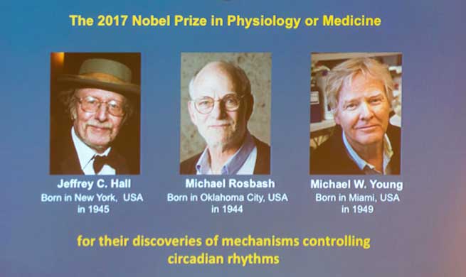 Three scientists share 2017 Nobel Prize in Physiology or Medicine