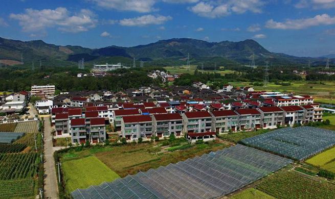 Booming development of modern agriculture, rural tourism seen in SE China