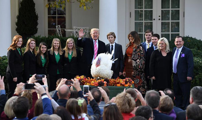Trump pardons turkey to follow White House Thanksgiving tradition