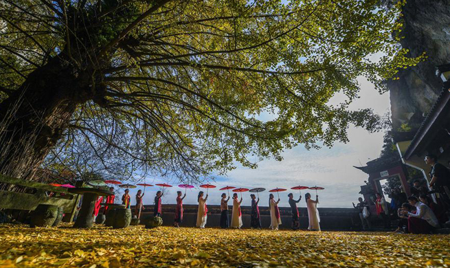 Old ginkgo tree attracts tourists in E China