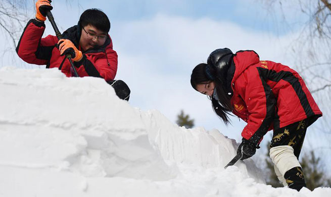 College Student Snow Sculpture Contest kicks off in NE China