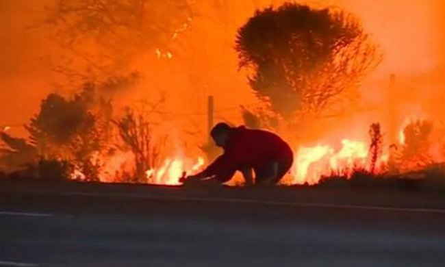 Video of man rescuing rabbit from fire goes viral