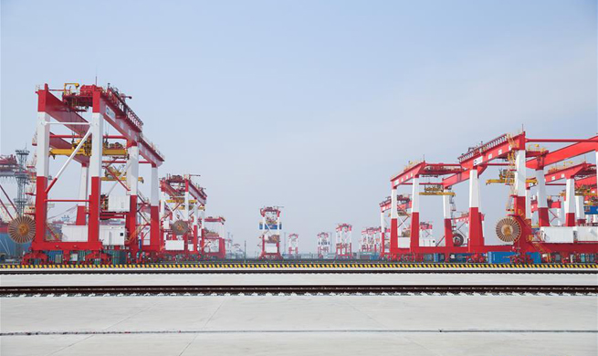 World's largest automated container terminal opens in Shanghai