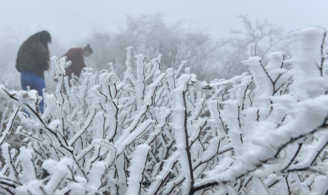 Central China's Enshi witnesses 1st snowfall this winter