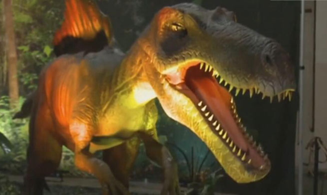 Video: Secret behind the "rebirth" of dinosaurs