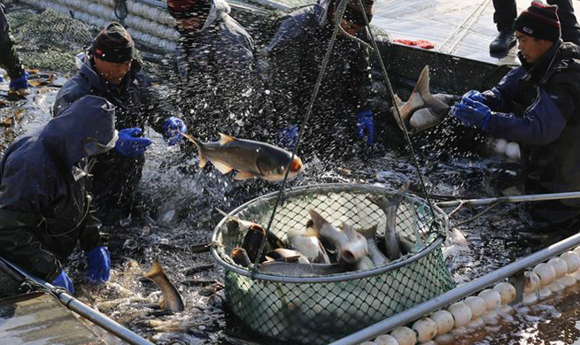 Winter fishing seen in E China's Shandong