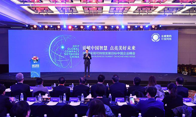 China Business Summit On Achieving Sustainable Development Goals held