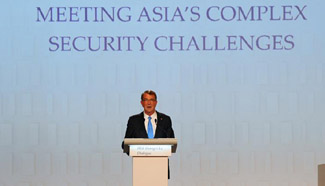 U.S. Defense Secretary attends 15th Shangri-La Dialogue in Singapore