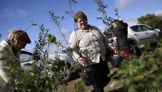Volunteers plant trees in Uruguay on World Environment Day