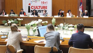 1st China-CEE CCI Forum opens in Serbia
