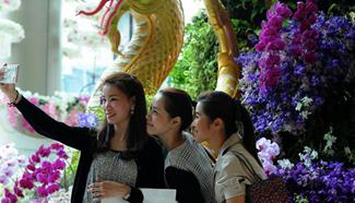 In pics: 10th Siam Paragon Bangkok Royal Orchid Paradise