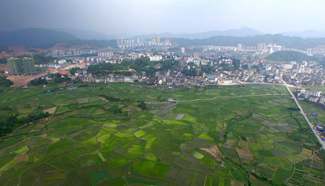 Aerial photos show rice fields in south China's Guangxi