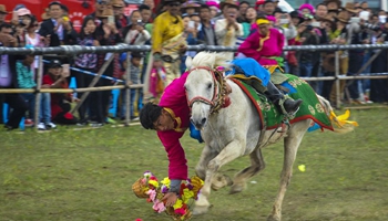 Ethnic traditional horse race festival kicks off in Shangri-la, SW China