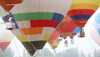 Newlyweds take part in hot-air balloon wedding in China's Nanjing