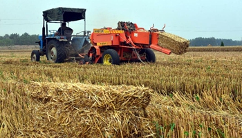Farmers recycle straw in east China's Liaocheng
