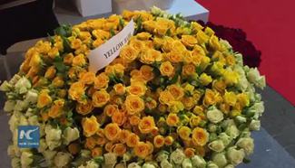 Enjoy international flower expo in the country of roses