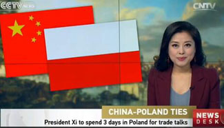 Interview: President Xi to spend 3 days in Poland for trade talks