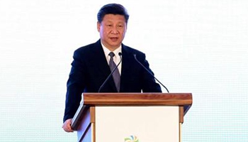 Xi urges China, Poland to set up paradigm of Belt and Road cooperation