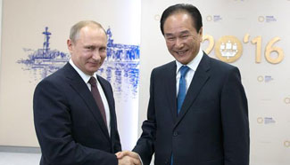 Putin receives exclusive interview with Xinhua's president