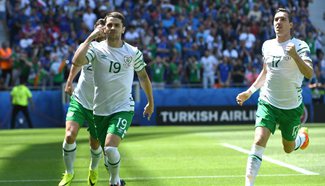 Ireland's soccer players celebrate scoring at match with France