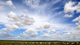 In pics: scenery of grassland in China's Inner Mongolia