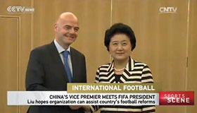 Liu Yandong hopes FIFA can assist China's football reform