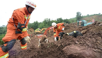 SW China landslide kills 23, injures 7